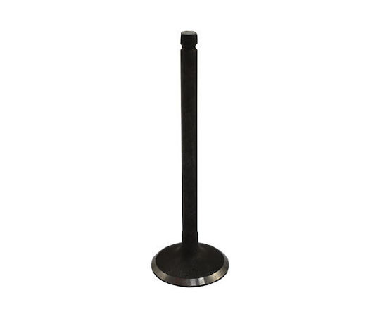 Motorcycle Engine Intake Valve Honda Vision 110 115-01-083110