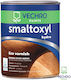Vechro Smaltoxyl Hydro Βερνίκι Εμποτισμού Άχρωμο Σατινέ 750ml