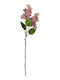 Arpimex Srl Weihnachtsdekoration Blume