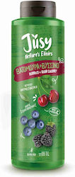 Concentrated Juice Sour Cherry & Raspberry 1000ml 1pcs Concentrated Juice Sour Cherry & Raspberry 1000ml 1pcs