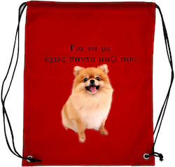 Rucsac De Spate