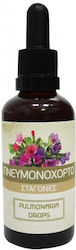 HealthTrade Βάμμα Πνευμονόχορτο 50ml Green