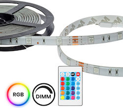 Eko Light Wasserdicht LED-Streifen 12V mit RGB Licht 5m