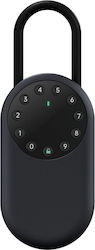 Lockin Padlock with Key