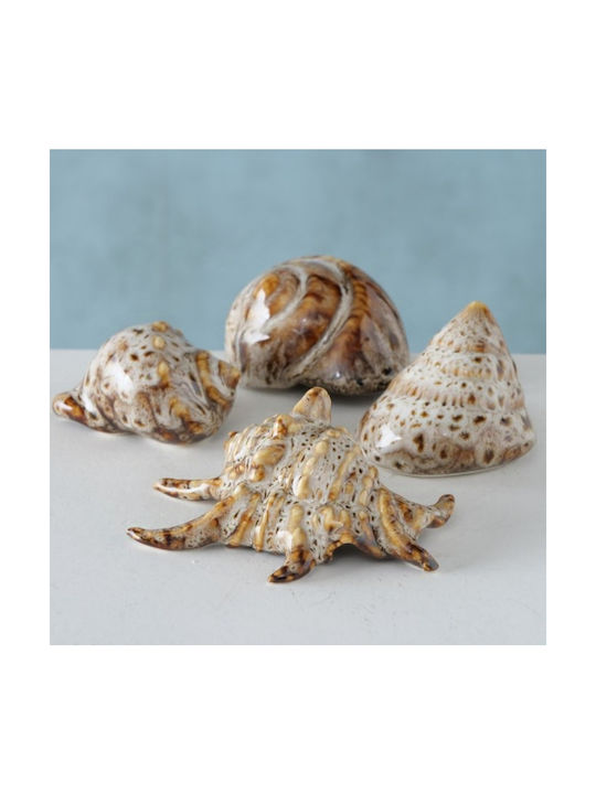 Shells Διακοσμητικά Κοχύλια Πορσελάνης 4 Τμχ