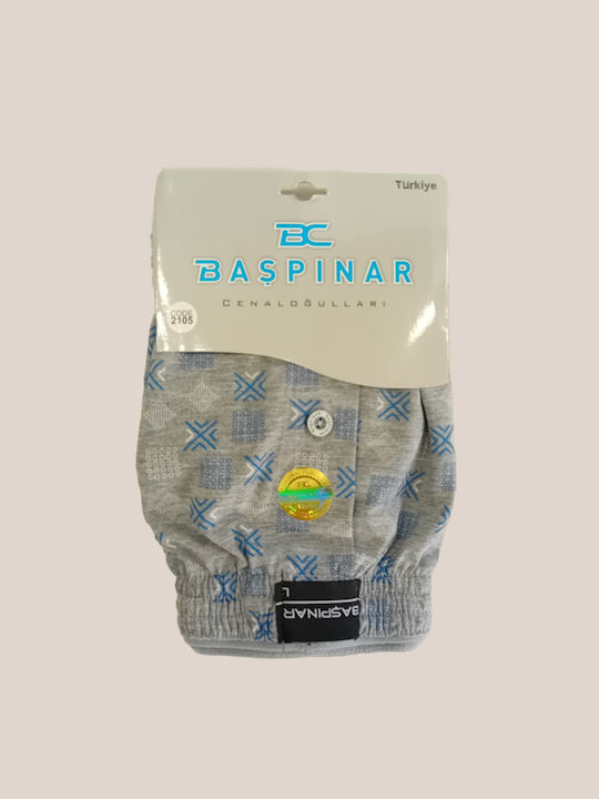 Baspinar