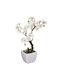 Τεχνητό Λουλούδι Γλάστρα 26εκ A-s Cherry Tree 185470 Πλαστικό