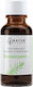 Natur Planet Βιολογικό Αιθέριο Έλαιο Δενδρολίβανο 10ml