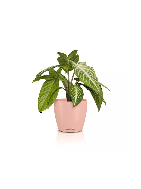 Lechuza Classico Pot Plastic Magnolia 15x15x14cm.