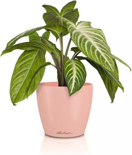 Lechuza Classico Topf Kunststoff Magnolia 15x15x14cm.