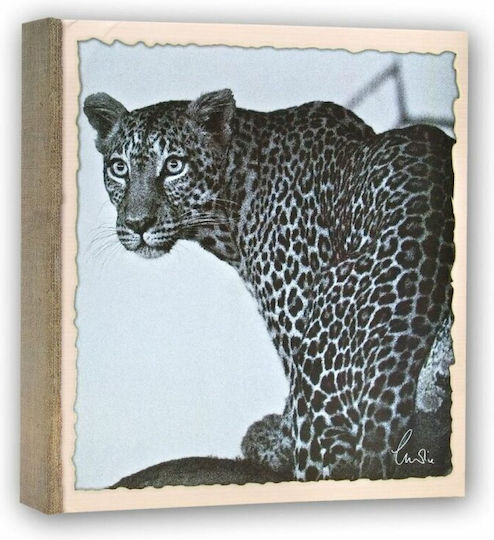 Album Afrikanische Safari für 200 Fotos 13x18 & 13x19cm Leopard