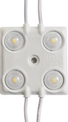 LED-Modul 1,5W 4000K IP65