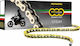 Regina Drive Chain Eb-oro 126eb-oro/013 Gold-unpainted 428 Eb-oro Chain X 124 Piece