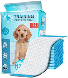 Clean Pets Επιδαπέδια Πάνα 60x60cm 30τμχ