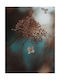 Poster Wild Flower Pst25147 60cm X 90cm