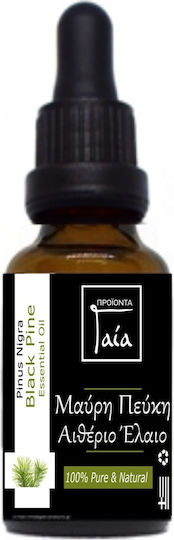 Gaia Products Ätherisches Öl Kiefer 10ml