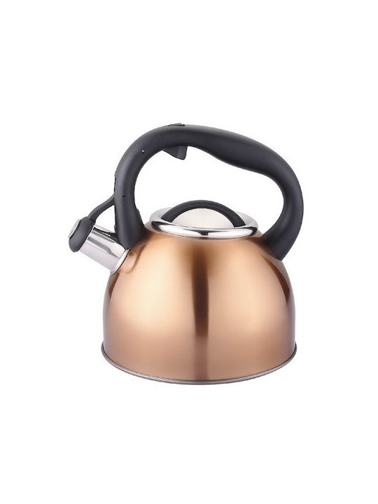 Carl Schmidt Sohn Ceainic Inox Gri 2000ml