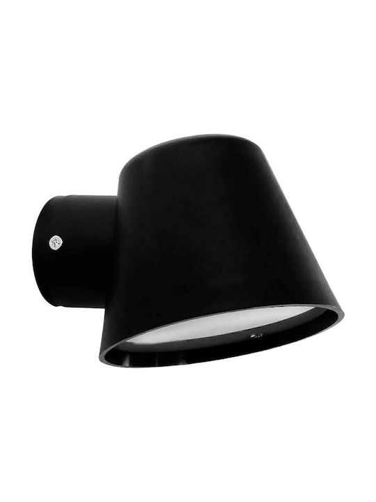 Heronia Single Spot in Black Color