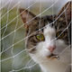 Animal Cat Net 200 x 150cm