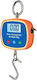 Portable Digital Electronic Professional Hanging Scale with Weighing Capacity of 300kg