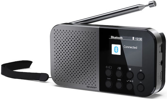 Sharp Osaka Ραδιοφωνάκι Επαναφορτιζόμενο DAB+ με Bluetooth και USB Γκρι