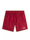 Men's Swimwear Shorts Red Floral