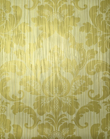 Classic Embossed Wall Wallpaper Baroque 14066 70cm X10m