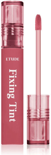 Ruj Etude Fixing Tint Rezistent de Lungă Durată 4g #07