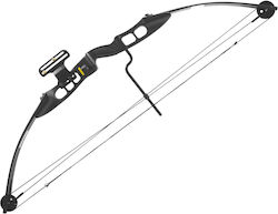 Poe Lang Recurve Poe Lang Recurve