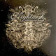 Nightwish Endless Forms Most Beautiful 2 Vinyl