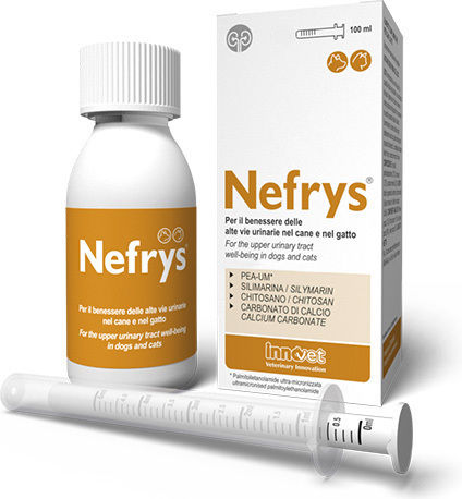 Innovet Ασβέστιο Σκύλου και Γάτας σε Έλαιο 100ml για Ουροποιητικό/ Νεφρά