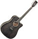 Tanglewood Semi-Akustik Gitarre Winterleaf Dreadnought