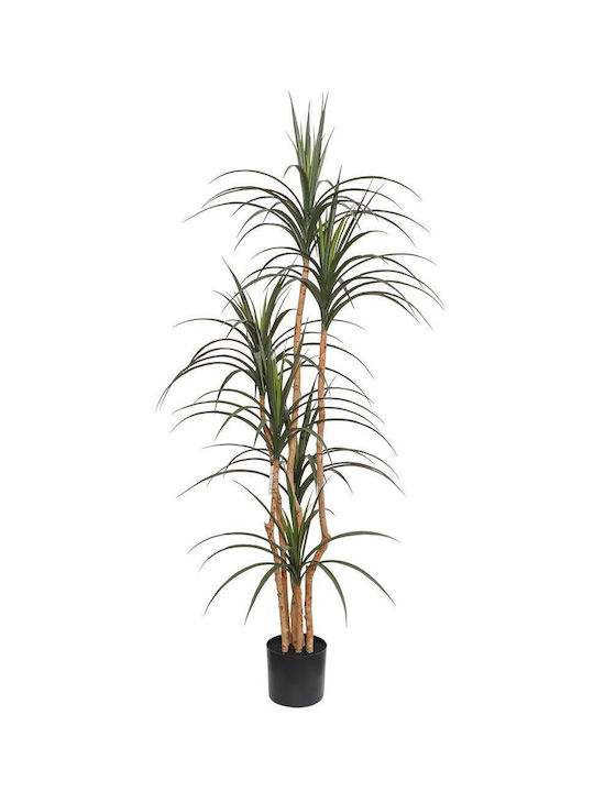Arbore Artificial de Exterior Dracaena Brown 180cm Newplan