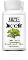 Zenyth Quercetin 500mg 30 Capsule Zenyth Quercetin 500mg 30 Capsule