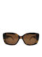 Ted Baker Women's Sunglasses with Brown Tartaruga Plastic Frame TB1788 119