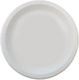 Ultra Plate for Party 20pcs