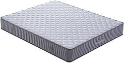 Cosmostrom Elixir Großes Doppel 160x210x26cm Cosmostrom Elixir Großes Doppel 160x210x26cm
