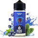 Secret Forest Aroma Shots Blaubeere Kaktus 30ml bis 120ml
