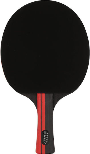 Paletă de Ping Pong Fz Forza Amaze Tt 5 stele*****