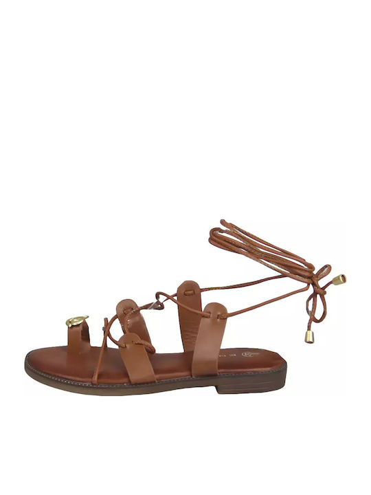 Envie Shoes Women's Flat Sandals in Brown Color