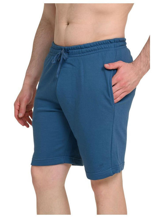 Target French Terry Men's Shorts Blue