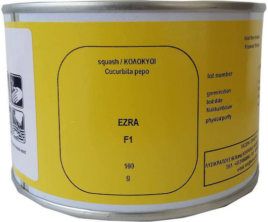 Hazera Seeds Pumpkinς Zucchini Ezra 500pcs