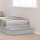 vidaXL Bed Drawer made of Wood Gray 100x36.5x16...