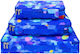 Bag Organizer Bag In Bag – Blue Palette Pylones Colorful Organizer Bags & Travel