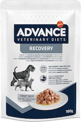 Advance Υγρή Τροφή 100gr Advance Υγρή Τροφή 100gr