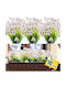 Artificial Flowers Decoration 10 Bunches White Silk