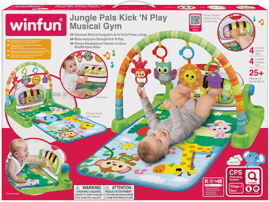 Winfun Baby Activity Gym for Newborns