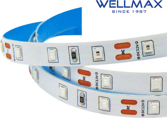 Banda LED 12V/5W Interior IP20 60L 2835 Roșu Wellmax Pachet de 5