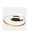 Home Lighting Ceiling Mount Light 50cm Black with Integrated LED