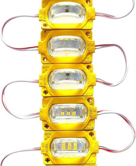LED Modul 12V 1.5W 20Stück JN-04787